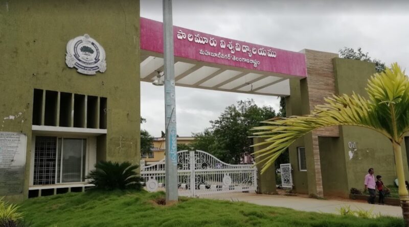 Palamuru University